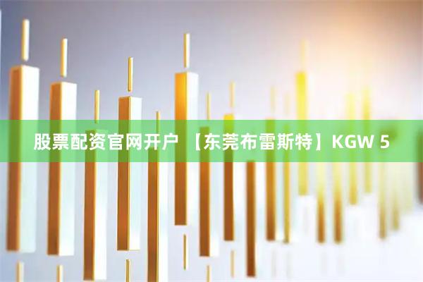 股票配资官网开户 【东莞布雷斯特】KGW 5