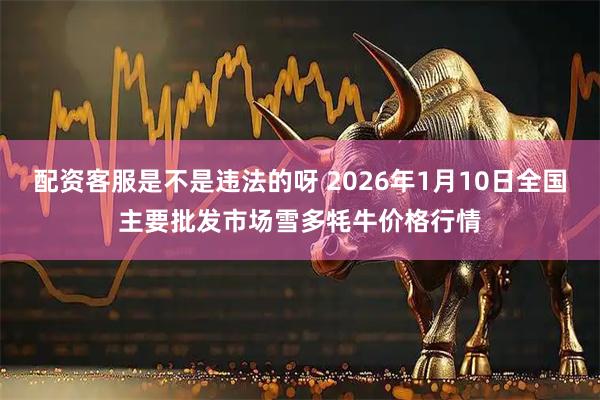 配资客服是不是违法的呀 2026年1月10日全国主要批发市场雪多牦牛价格行情