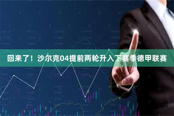 回来了！沙尔克04提前两轮升入下赛季德甲联赛